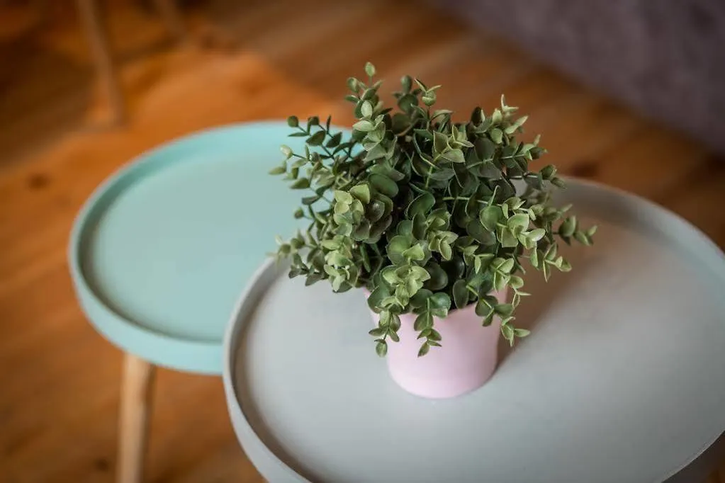 Apartment Ws St Germain-Pantheon Paris